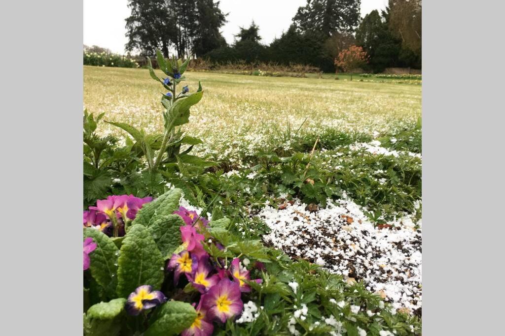 On The Grounds Of Beautiful Manor House *